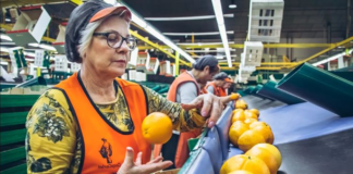 SE SOLICITA OPERARIO DE PRODUCCIÓN PARA PREPARACIÓN DE PRODUCTOS EN FÁBRICA DE ALIMENTOS