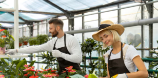 SE SOLICITA TRABAJADOR DE VIVERO PARA CUIDADO DE PLANTAS, NO SE REQUIERE EXPERIENCIA