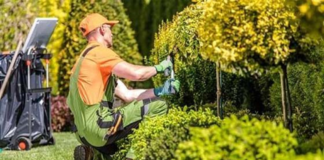 SE SOLICITA JARDINERO PARA MANTENIMIENTO REGULAR Y RIEGO DE CÉSPED