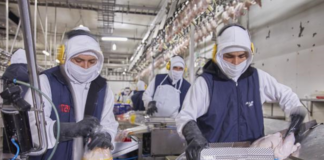 SE SOLICITA OPERARIO DE PRODUCCIÓN CON DISPONIBILIDAD DE TURNOS ROTATIVOS (MAÑANA Y NOCHE)
