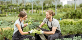 SE SOLICITA TRABAJADOR DE INVERNADERO PARA PREPARACIÓN DE TERRENO Y CUIDADO DE PLANTAS