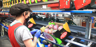 SE REQUIERE OPERARIO DE PRODUCCIÓN PARA ENVASADO, EMPAQUE Y ETIQUETADO DE PRODUCTOS