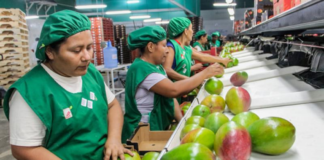 SE SOLICITA OPERARIOS DE PRODUCCIÓN PARA CONTROL DE CALIDAD DE PRODUCTOS (HORARIOS ROTATIVOS)