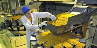 SE REQUIERE AUXILIAR DE PRODUCCIÓN PARA ETIQUETADO Y ENVASADO DE PRODUCTOS