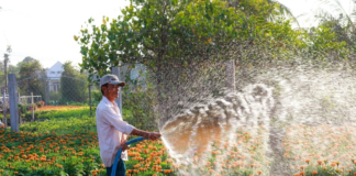 SE REQUIERE JARDINERO PARA MANTENIMIENTO REGULAR DE ÁREAS VERDES (TURNO DIURNO)