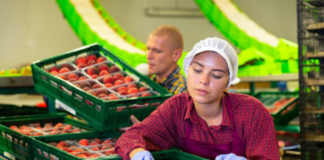 SE REQUIERE OPERARIO DE PRODUCCIÓN PARA ENVASADO ADECUADO DE ALIMENTOS
