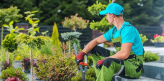 SE REQUIERE JARDINERO PARA RIEGO Y MANTENIMIENTO DE PLANTAS (JORNADA COMPLETA)