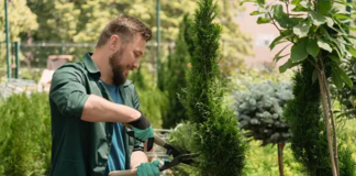 SE SOLICITA JARDINERO PARA MANTENIMIENTO Y CUIDADO DE ARBUSTOS Y FLORES