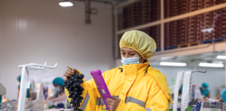 SE SOLICITA OPERARIO/A DE PRODUCCIÓN PARA ENVASADO DE ALIMENTOS (CON O SIN EXPERIENCIA)
