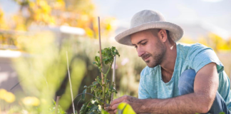 SE SOLICITA JARDINERO PARA PREPARACIÓN DE TERRENO Y CUIDADO DE FLORES
