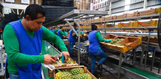 SE SOLICITA OPERARIO DE PRODUCCIÓN PARA CONTROL DE CALIDAD Y EMPAQUE DE PRODUCTOS