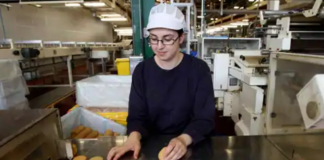 SE SOLICITA ENVASADOR PARA EMPAQUE DE CEREALES Y GALLETAS