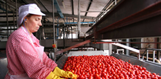 SE REQUIERE OPERARIO DE PRODUCCIÓN PARA ENVASADO Y EMPAQUETADO DE PRODUCTOS