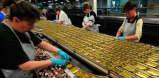 SE SOLICITA OPERARIO DE PRODUCCIÓN PARA FÁBRICA DE CONSERVAS