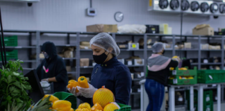 SE SOLICITA EMPACADOR PARA INSPECCIÓN Y ENVASADO DE PRODUCTOS