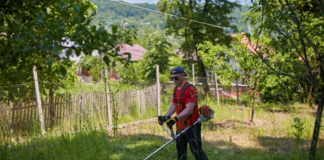 SE REQUIERE JARDINEROS PARA DIVERSAS TAREAS DE MANTENIMIENTO (TIEMPO PARCIAL)