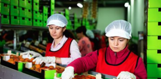 SE SOLICITA AUXILIAR DE PRODUCCIÓN PARA ENVASADO MANUAL Y ETIQUETADO DE ALIMENTOS