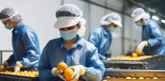 SE REQUIERE AYUDANTE GENERAL DE PRODUCCIÓN (TURNOS ROTATIVOS)