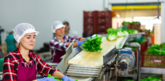 SE REQUIERE PERSONAL DE PRODUCCIÓN PARA ENVASADO DE ALIMENTOS FRESCOS