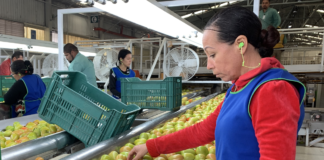 SE REQUIERE OPERARIO DE PRODUCCIÓN EVENTUAL PARA CONTROL DE CALIDAD DE PRODUCTOS