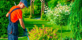SE REQUIERE JARDINERO PARA MANTENIMIENTO Y CUIDADO DE CÉSPED (TIEMPO COMPLETO)
