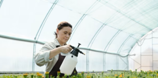 SE SOLICITA TRABAJADOR DE INVERNADERO DE TIEMPO PARCIAL PARA RIEGO Y CUIDADO DE PLANTAS