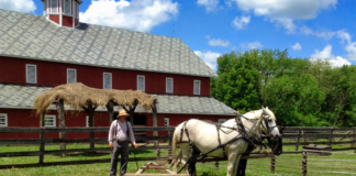 SE SOLICITA TRABAJADOR DE RANCHO PARA CUIDADO DE ANIMALES Y MANTENIMIENTO DE ESTRUCTURAS