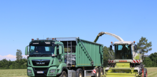 SE SOLICITA CONDUCTOR DE CAMIÓN PARA CARGA Y TRANSPORTE DE PRODUCTOS AGRÍCOLAS