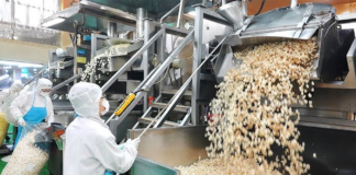 SE REQUIERE TRABAJADOR DE PRODUCCIÓN PARA EMPAQUE DE PRODUCTOS DE MAÍZ