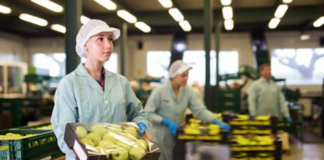SE SOLICITA OPERARIO DE PRODUCCIÓN PARA ELABORACIÓN Y EMPAQUE DE PRODUCTOS
