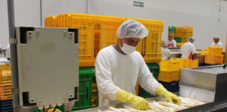 SE REQUIERE OPERARIO DE PRODUCCIÓN CON O SIN EXPERIENCIA PARA CONTROL DE CALIDAD DE ALIMENTOS (4:00 PM a 11:00 PM)