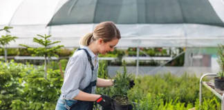SE SOLICITA TRABAJADOR DE INVERNADERO PARA CUIDADO REGULAR DE PLANTAS