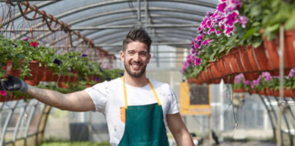 SE SOLICITA TRABAJADOR DE VIVERO CON DISPONIBILIDAD LOS FINES DE SEMANA