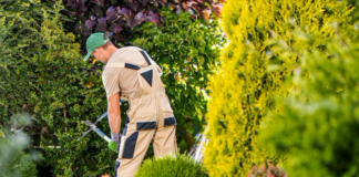 SE REQUIERE JARDINERO PARA PODA DE ARBUSTOS Y CONTROL DE PLANTAS EN ÁREAS VERDES