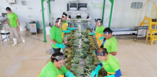 SE SOLICITA AYUDANTE DE PLANTA CON DISPONIBILIDAD DE HORARIOS ROTATIVOS
