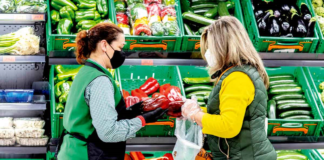 SE REQUIERE AUXILIAR DE TIENDA PARA JORNADA DE MEDIO TIEMPO EN EL ÁREA DE EMBUTIDOS Y VEGETALES