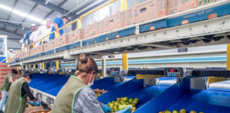 SE SOLICITA TRABAJADOR DE PRODUCCIÓN PARA ETIQUETADO Y EMPAQUE DE PRODUCTOS
