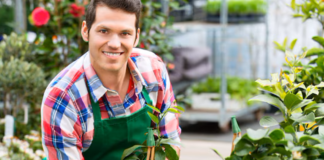 SE REQUIERE AYUDANTE DE JARDINERÍA PARA CUIDADO Y RIEGO DE PLANTAS