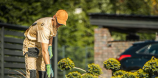SE SOLICITA JARDINERO PARA JORNADA DE TIEMPO PARCIAL (MEDIO TIEMPO)