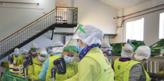 SE SOLICITA OPERARIO DE ENVASADO PARA LABORES DE ETIQUETADO Y COLOCACIÓN DE PRODUCTOS EN CAJA