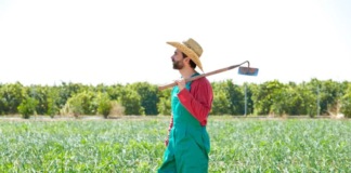 SE SOLICITA PEÓN AGRÍCOLA PARA TRABAJAR UNA VEZ A LA SEMANA (TURNO MAÑANA)