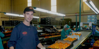 SE SOLICITA ASOCIADO DE PRODUCCIÓN PARA ENVASADO DE FRUTAS Y VERDURAS