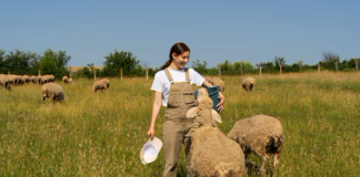 SE SOLICITA TRABAJADOR GANADERO PARA MANTENIMIENTO DE TERRENOS Y CUIDADO DE ANIMALES