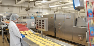 SE REQUIERE AUXILIAR DE PRODUCCIÓN PARA CONTROL DE CALIDAD Y EMPAQUETADO DE QUESOS