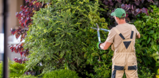 SE SOLICITA JARDINERO PARA MANTENIMIENTO Y PODA DE CÉSPED (HOMBRE Y/O MUJER)