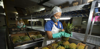 SE REQUIERE AUXILIAR DE PRODUCCIÓN PARA ESCANEO Y CONTROL DE PEDIDOS