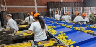 SE SOLICITA TRABAJADOR DE EMBALAJE PARA ENVASADO Y ETIQUETADO DE PRODUCTOS, NO SE REQUIERE EXPERIENCIA