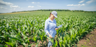 SE SOLICITA PEÓN AGRÍCOLA PARA ACONDICIONAMIENTO Y PREPARACIÓN DE TERRENO EN FINCA