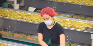 SE REQUIERE OPERARIO DE PRODUCCIÓN PARA PREPARACIÓN Y ENVASADO DE ALIMENTOS