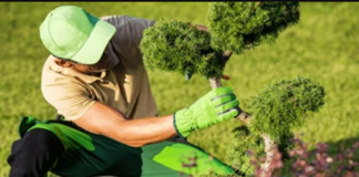 SE SOLICITA JARDINERO PARA MANTENIMIENTO DE ÁREAS EXTERIORES EN EDIFICIO